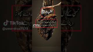 New video farman hazrat Ali #account