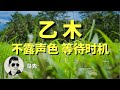 会员视频2：外表谦和，实际上大有野心？八字里有乙木的人的特质：乙木需要哪些人的扶植？必须防备哪些人？甲木、乙木之间有什么区别？有趣的乙木案例。保护知识产权，请勿下下载传阅，已去除广告，请点赞收藏