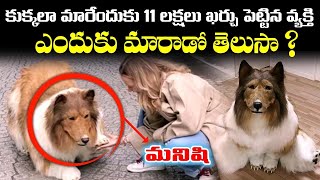 11 లక్షలు ఖర్చు పెట్టి Dogలా మారిపోయాడు! | A Japanese man spends 2 Million Yen to become a dog | G7