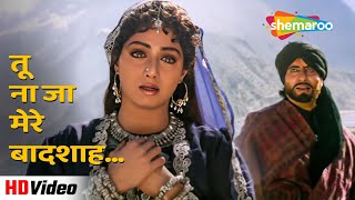 तू ना जा मेरे बादशाह (HD) | अमिताभ बच्चन और श्रीदेवी का सुपरहिट गाना | Khuda Gawah (1992) | #songs