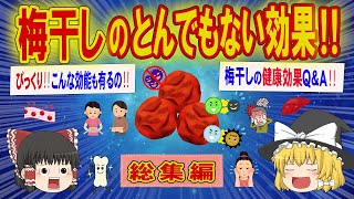 【総集編】梅干しのとんでもない効果‼毎日食べよう‼びっくり‼こんな効能も有るの⁈梅干しの健康効果Ｑ＆Ａ‼【ゆっくり解説】