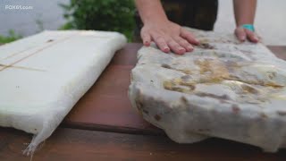UConn grad students developing sustainable surfboard with mushrooms