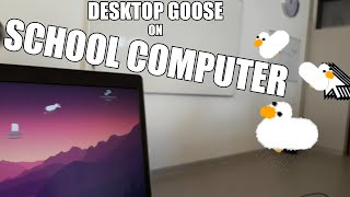 Installing The Desktop Goose on ALL School Computers