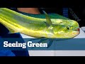 Dolphin Fishing Tips - Florida Sport Fishing TV - Learn How To Stay Hooked Up And Fill The Coolers