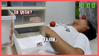 정신나간 파충류 집사의 젤리뱀(밀크 스네이크) 집 청소해주기! [동물노예]