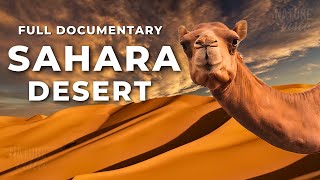 SAHARA DESERT | A Land of Extremes - Full Documentary