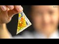 El Bulli's Famous Recipe: Transparent Ravioli, a Culinary Work of Art