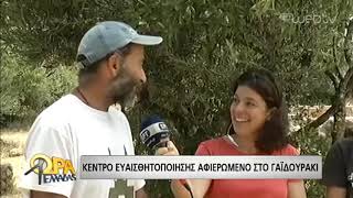 Ξεχωριστή φροντίδα για το γαϊδουράκι | 31/05/19 | ΕΡΤ