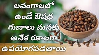 Cloves Benefits ప్రతిరోజూ రెండు లవంగాలు తింటే.. బోలెడన్ని ఆరోగ్య ప్రయోజనాలు.. తెలిస్తే షాకే..