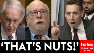 Hawley Absolutely Loses It On Witness Defending Mahmoud Khalil, & Even Ed Markey's Comments 'Insane'