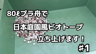 【ビオトープ】日本庭園風ビオトープ立ち上げます！♯1立ち上げ編