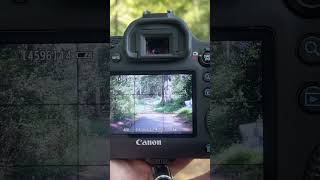 How bad is the Canon 6D Live View Mode?  #dehancer #Canon6D #davinciresolve #colorgrading