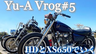 【ハーレー女子の休日Moto Vlog#5】ハーレーとYAMAHA XS650で行くスカイラインツーリング【モトブログ】