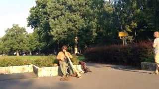 Budapest Hungary city park musician