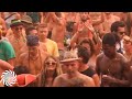 Ace Ventura @ Boom Festival 2016 - Playing Unified Field