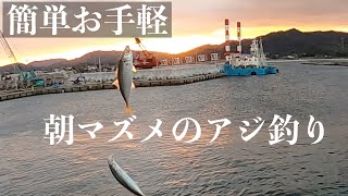 簡単お手軽な朝マズメのアジ釣り