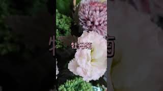 转眼立秋，依旧可以鲜花布置居家，伯利恒之星，醉蝶花，景天，牡丹菊，洋桔梗，黄栌花，小蝴蝶兰都是很不错的花材#零基础插花教学 #居家花艺 #立秋#我的日常 #花艺