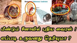 சீனாவை உலுக்கும் புதிய வயிரஸ் ! எப்படி உருவானது தெரியுமா ? | Hantavairus