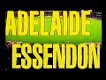 Round 4 Adelaide Crows Vs Essendon Bombers 1996