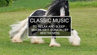 Moonlight Sonata by Beethoven - Classic music
