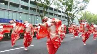 茜丸　2015 原宿表参道元氣祭り・スーパーよさこい（表参道アベニュー）