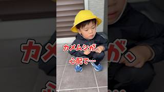 カメムシに優しい2歳児#shorts#男の子#育児#子育て #2歳児