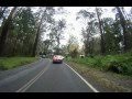 Driving a B1 VW Passat/Dasher in the Dandenong Ranges, Victoria, Australia