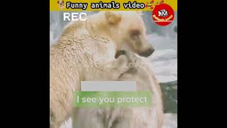 Funny animals video | Funny dogs | Cute dog🐕#dogs #funnyanimals #shorts #short #Nmanimalslover Ep 57
