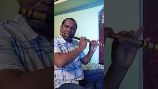 నేను నేనుగా లేనే tough flute bit //Manmadhudu song /Nagarjuna /#shorts #flute
