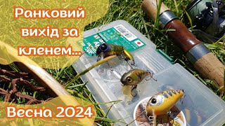 Ранковий вихід за кленем. р. Серет. Весна 2024