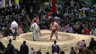 千代丸-山口/2017.3.16(41)/chiyomaru-yaaguchi/day5 #sumo