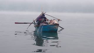 AMAZING GILL NET FISHING | BEST GILL NET FISHING IN GOBIND SAGAR RESERVOIR, BILASPUR, HIMACHAL