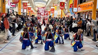 第25回YOSAKOIさせぼ祭り　しんら　アーケード会場②