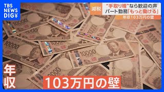 「103万円の壁」撤廃は実現可能？“手取り増”でも…税収は7.8兆円減？【Nスタ解説】｜TBS NEWS DIG