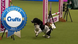 Agility - Small Team Final - Part 2/3 | Crufts 2017