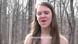 Temperate Forest- My House parody