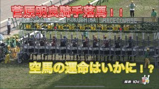 福島10レース 菅原騎手が落馬し空馬だけになりますが…