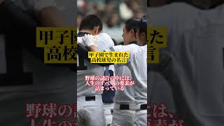 甲子園で生まれた高校球児の名言