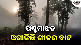 ପଶ୍ଚିମା ଝଡ ରାଜ୍ୟରେ ଶୀତର ପ୍ରଭାବ ହ୍ରାସ କରିଛି। Sakala News