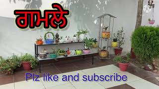 Flower pots(ਗਮਲੇ), Topiary , flower stand that all decorate your garden