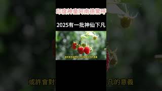 阿南德驚呼：2025會有一批神仙下凡！#佛教 #轉世 #奇門遁甲 #前世今生 #傳統文化