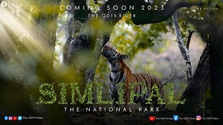 Simlipal The National Park || The Way of Forest || #simlipal #2023 || @theod11rider68