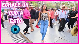 😱❤️ QUE CHULA MORENITA! y buenas para bailar en Xilitla con Iván, don Celso, Liz, Javier, Blanca y +