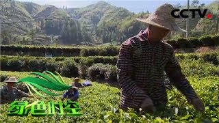 【Green Agriculture】20171231 | CCTV Agriculture