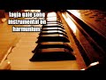 lagja gale song instrumental on harmunium  by predeep Sharma