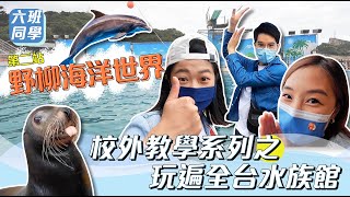 【校外教學系列】玩遍全台水族館-野柳海洋世界II 哇！人生第一次走進來～海獅與我0距離的接觸❤家庭親子旅遊好去處/國際高空跳水表演/海獅海豚表演秀｜六班同學