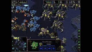 Light vs PitbullTerrior - StarCraft - BroodWar Remastered - 2024 (Terran vs Zerg on Dominator), 이재호