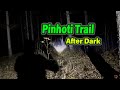 Exploring the Pinhoti Trail: Wildlife, Tree Knocks, and Cool Night Adventures