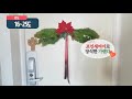 포인세티아. 크리스마스와 어울리는 포인세티아의 특징과 키우기.poinsettia_96화 해맑은tv