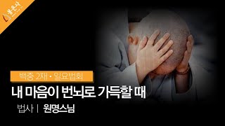 봉은사 우란분절(백중) 2재, 일요법회 원명스님 법문 (2021.07.18)